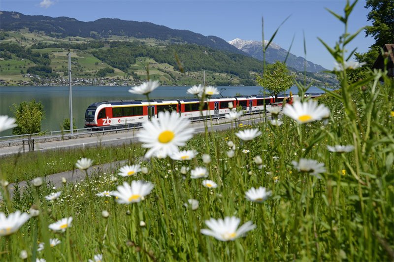Luzern-Interlaken Express